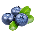 Blueberry Fruit