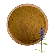 Ajuga Turkestanica Extract-180