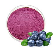 Blueberry Fruit Juice Powder-180