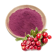 Cranberry Fruit Juice Powder-180