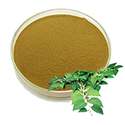 Polygonum Cuspidatum Extract-180